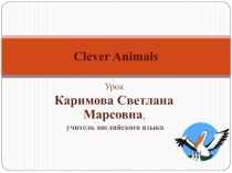 Презентация к уроку в 3 классе по английскому языку на тему Clever Animals