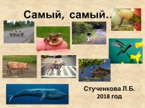 Презентация по окружающему миру на тему Животные. Самый, самый ( 1 класс)