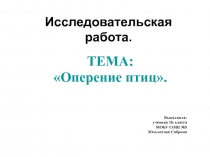 Презентация по исследовательской работе  Оперение птиц