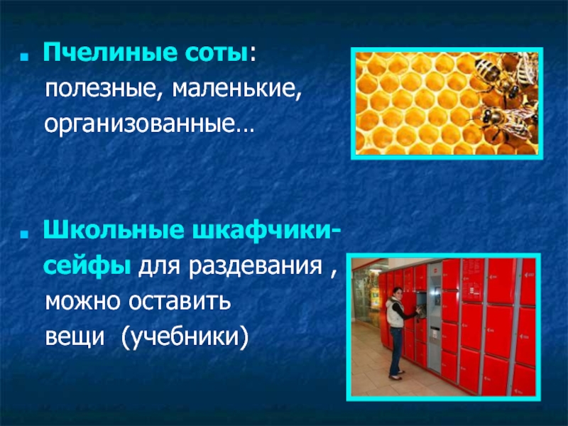 Презентация к проекту Школьная НКО Ресурс: научно - техническое творчество обучающихся, основанное на ресурсосберегающих технологиях Пчелиные соты: полезные, маленькие, организованные…Школьные шкафчики- сейфы для раздевания , можно оставить вещи (учебники) Пчелиные соты: полезные, маленькие, организованные…Школьные шкафчики- сейфы для раздевания , можно оставить