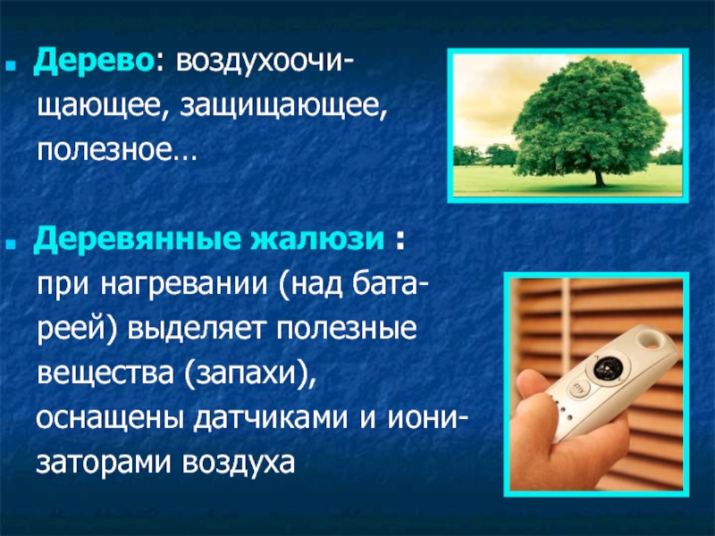 Презентация к проекту Школьная НКО Ресурс: научно - техническое творчество обучающихся, основанное на ресурсосберегающих технологиях Дерево: воздухоочи- щающее, защищающее, полезное…Деревянные жалюзи : при нагревании (над бата- Дерево: воздухоочи- щающее, защищающее, полезное…Деревянные жалюзи : при нагревании (над бата- реей) выделяет