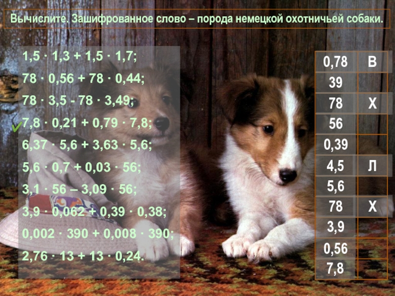 Игра по математике Вычислите. Зашифрованное слово Вычислите. Зашифрованное слово – порода немецкой охотничьей собаки. 1,5 · 1,3 Вычислите. Зашифрованное слово – порода немецкой охотничьей собаки. 1,5 · 1,3 + 1,5 · 1,7;78 · 0,56