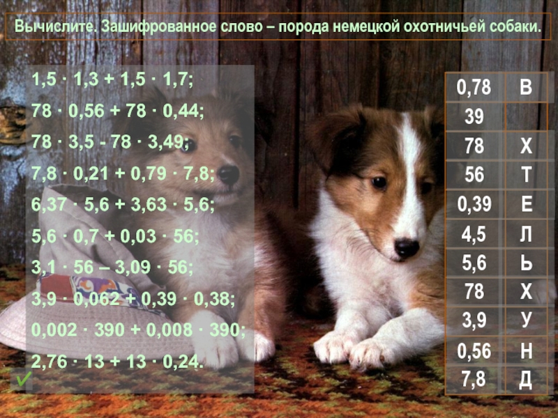 Игра по математике Вычислите. Зашифрованное слово Вычислите. Зашифрованное слово – порода немецкой охотничьей собаки. 1,5 · 1,3 Вычислите. Зашифрованное слово – порода немецкой охотничьей собаки. 1,5 · 1,3 + 1,5 · 1,7;78 · 0,56