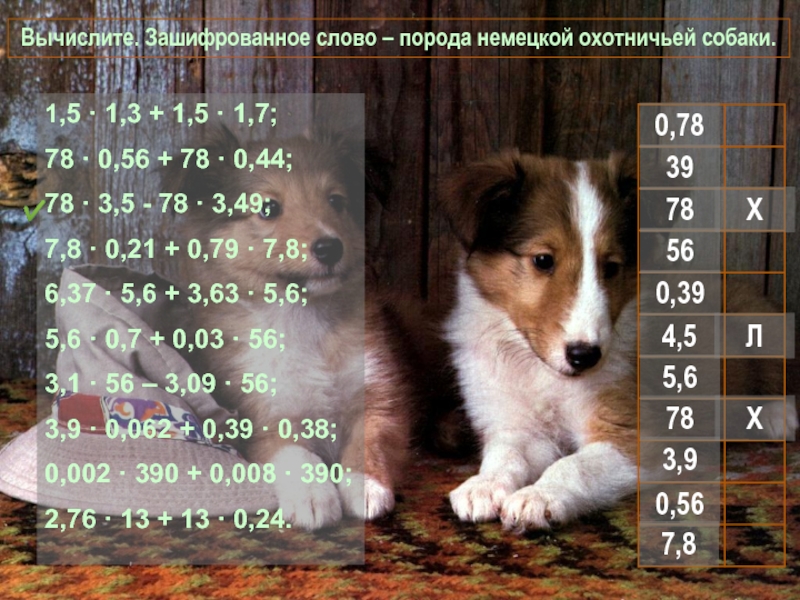 Игра по математике Вычислите. Зашифрованное слово Вычислите. Зашифрованное слово – порода немецкой охотничьей собаки. 1,5 · 1,3 Вычислите. Зашифрованное слово – порода немецкой охотничьей собаки. 1,5 · 1,3 + 1,5 · 1,7;78 · 0,56