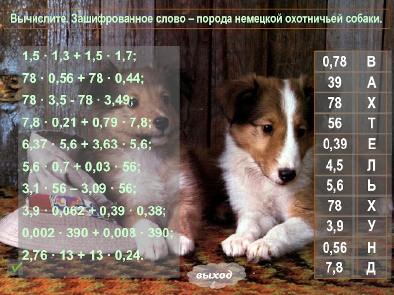 Игра по математике Вычислите. Зашифрованное слово Вычислите. Зашифрованное слово – порода немецкой охотничьей собаки. 1,5 · 1,3 Вычислите. Зашифрованное слово – порода немецкой охотничьей собаки. 1,5 · 1,3 + 1,5 · 1,7;78 · 0,56