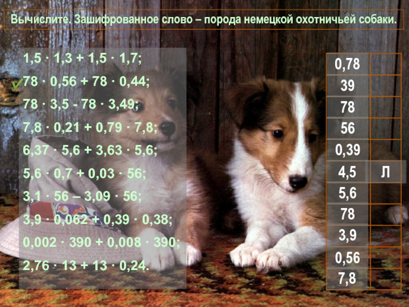 Игра по математике Вычислите. Зашифрованное слово Вычислите. Зашифрованное слово – порода немецкой охотничьей собаки. 1,5 · 1,3 Вычислите. Зашифрованное слово – порода немецкой охотничьей собаки. 1,5 · 1,3 + 1,5 · 1,7;78 · 0,56