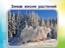Презентация по окружающему миру Зима в мире растений 2 класс