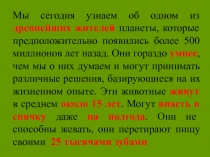 Презентация по биологии на тему Брюхоногие моллюски (7 класс)