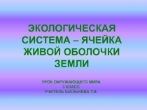 Презентация по окружающему миру на тему Экологическая система - ячейка живой оболочки земли (4 класс)
