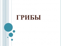 Презентация. Окружающий мир - 2 класс. Грибы