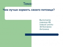 Чем лучше кормить своего питомца