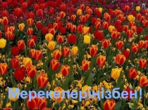 Cынып жеткшілерге Армысың әз-Наурыз