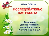 Презентация о проектной работе учащегося