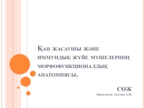 Қан жасаушы және иммундық жүйе мүшелерінің морфофункционалдық анатомиясы