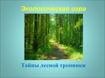 Экологическая игра Тайны лесной тропинки