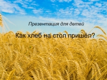 Презентация по окружающему миру  Как хлеб на стол пришёл?