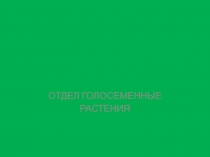 Презентация по биологии на тему Отдел Голосеменные (7 класс)