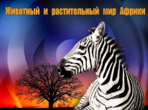 Презентация по географии в 8 классе Растительный и животный мир Африки