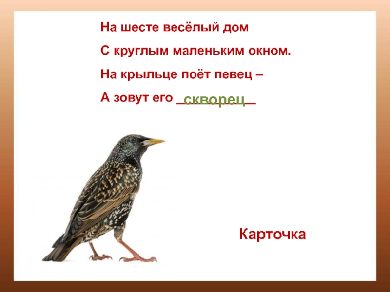 Презентация к конспекту урока математики в 3 классе по теме Что узнали. Чему научились. Деление с остатком На шесте весёлый домС круглым маленьким окном.На крыльце поёт певец –А зовут его ___________скворецКарточка На шесте весёлый домС круглым маленьким окном.На крыльце поёт певец –А зовут его ___________скворецКарточка