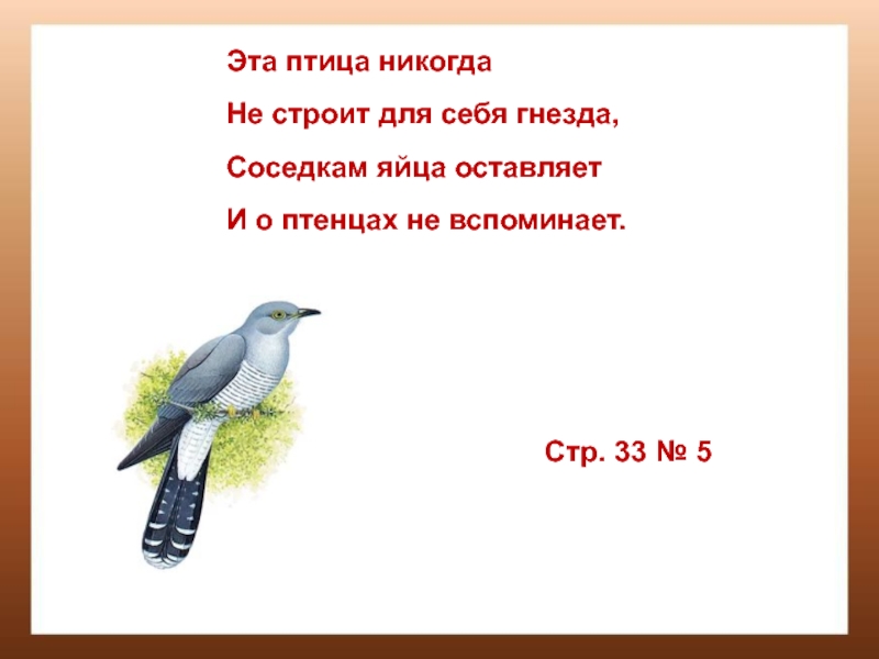 Презентация к конспекту урока математики в 3 классе по теме Что узнали. Чему научились. Деление с остатком Эта птица никогдаНе строит для себя гнезда,Соседкам яйца оставляетИ о птенцах не вспоминает.Стр. 33 № 5 Эта птица никогдаНе строит для себя гнезда,Соседкам яйца оставляетИ о птенцах не вспоминает.Стр. 33 № 5