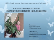 Исследовательская работа на тему: Домашние цветы как лекарства