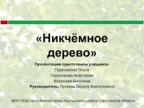 Презентация Никчёмное деревок выступлению учащихся на конкурсе Лес и человек