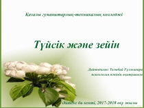 Психология пәнінен презентация Түйсік және зейін