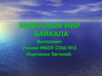 Животный мир Байкала. Презентация