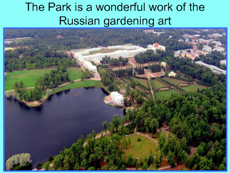 Презентация по страноведению по теме The Charm of Saint Petersburg. The Park is a wonderful work of the Russian gardening art The Park is a wonderful work of the Russian gardening art