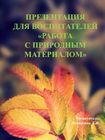 Презентация для воспитателей Работа с природным материалом