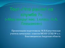 Презентация по окружающему миру на тему: Что растет на клумбе?