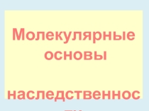 Презентация к уроку по ветеринарной генетике Молекулярные основы наследственности