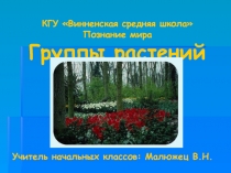 Презентация по познанию мира Группы растений