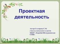 Образовательный проект учитель года