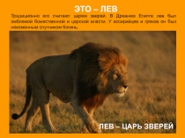 Презентация к уроку окружающего мира по теме Животные.