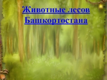Презентация по окружающему миру
