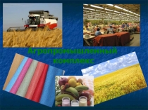 Презентация по географии на тему АПК