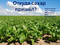 Презентация по познавательному развитию Откуда сахар пришел?