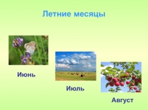 Презентация к уроку Лесные опасности 2 класс Окружающий мир .