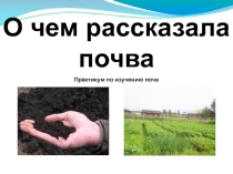 Презентация исследовательской работы О чем рассказала почва