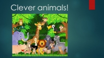Умные животные (3 класс)