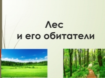Презентация. Лес природное сообщество. ПНШ. 3 класс