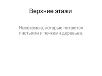 Презентация по окружающему миру по теме Лес и его обитатели(2класс)