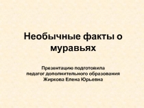 Необычные факты о муравьях
