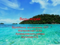 Презентация Виды морей, можно использовать в качестве наглядного материала.