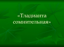 Презентация по биологии на тему Тладианта сомнительная