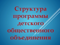 Структура программы детской общественной организации.