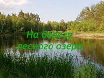 Презентация по окружающему миру на тему В мире живой природы. У лесного озера. (2 класс УМК Планета знаний)