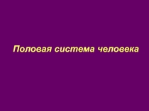 Половая система