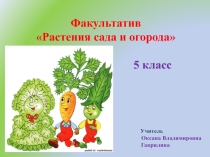 Презентация к занятию Картофель. Полезные свойства картофеля